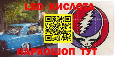 прущие грибы Гусиноозёрск