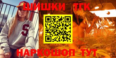 прущие грибы Гусиноозёрск