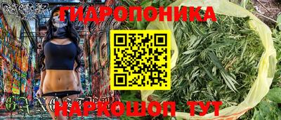 прущие грибы Гусиноозёрск